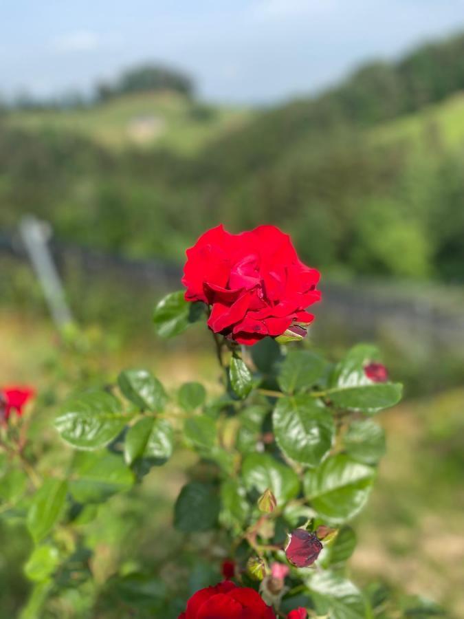 Trautenburg Stub`n Gasthof Leutschach